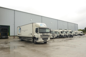kings laundry services
